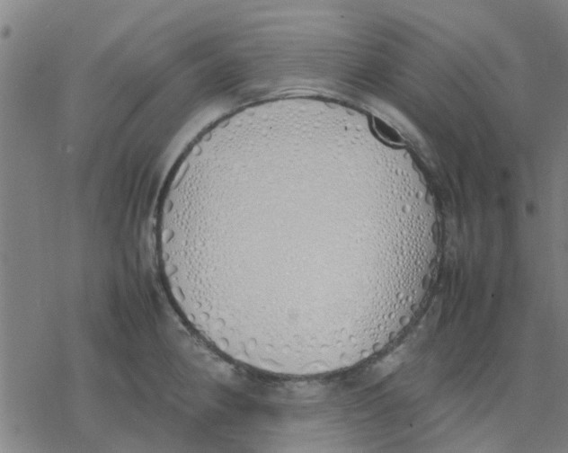 X0000077281190200611101310