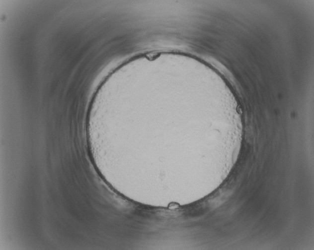 X0000077281191200611101310