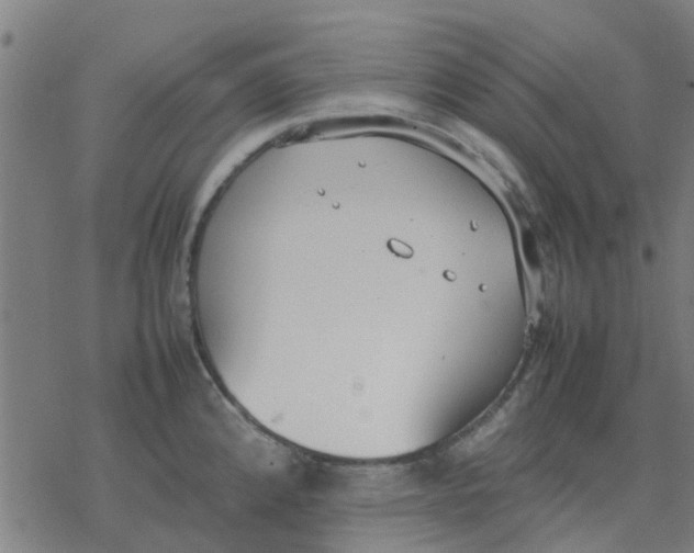 X0000077281192200611101310