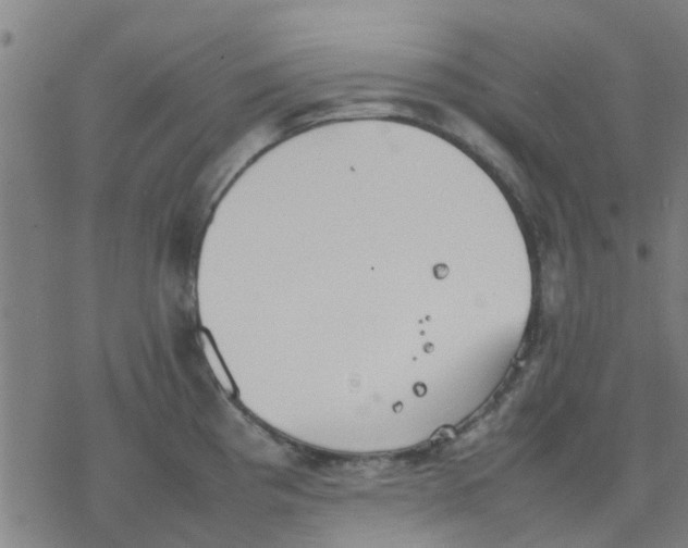 X0000077281193200611101310