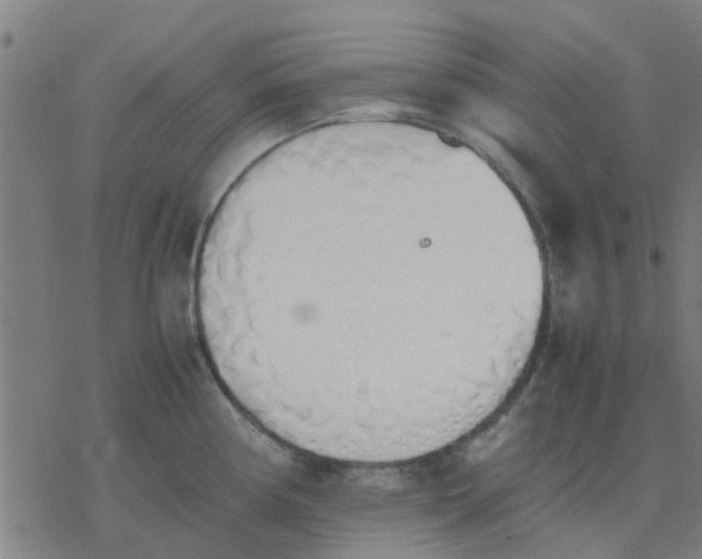 X0000077281194200611101310