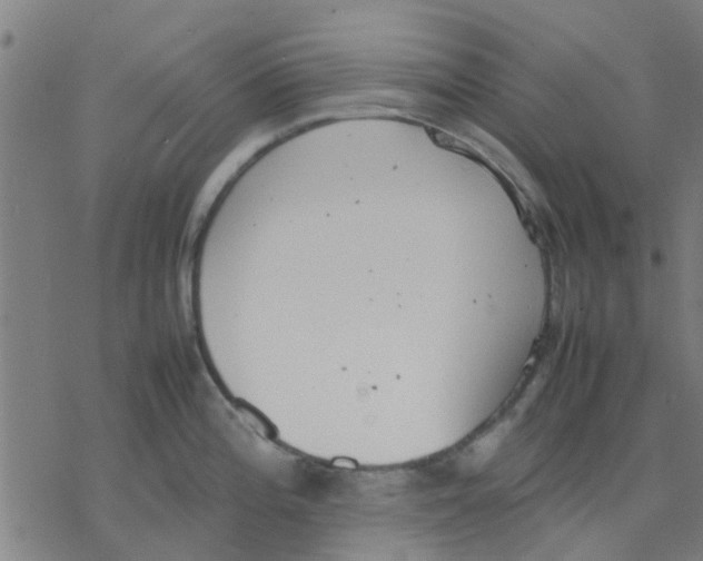 X0000077281196200611101310