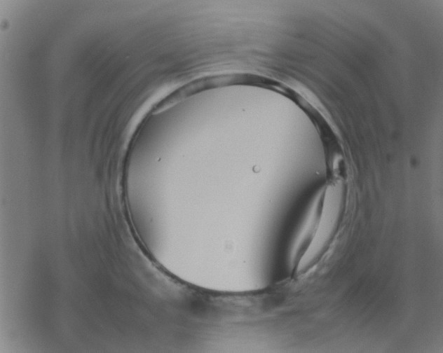 X0000077281197200611101310