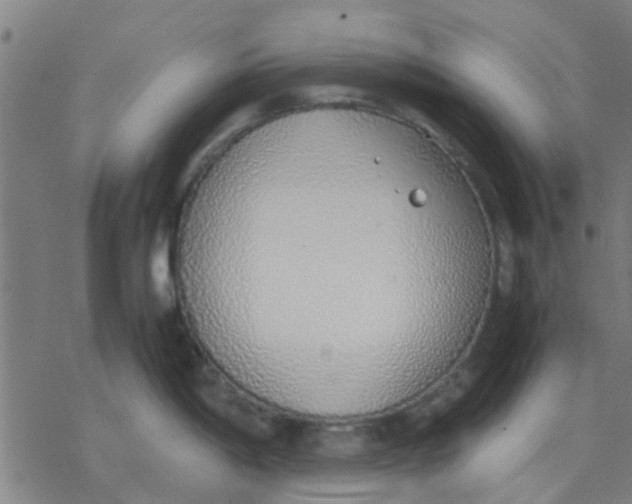 X0000077281198200611101310