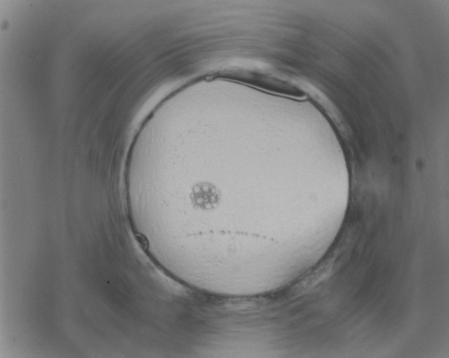 X0000077281199200611101310