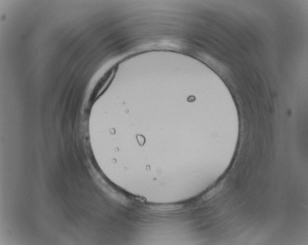 X0000077281200200611101310