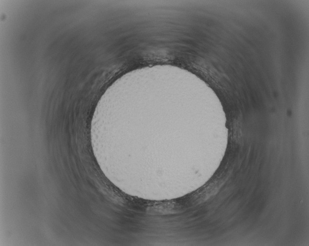 X0000077281201200611101309