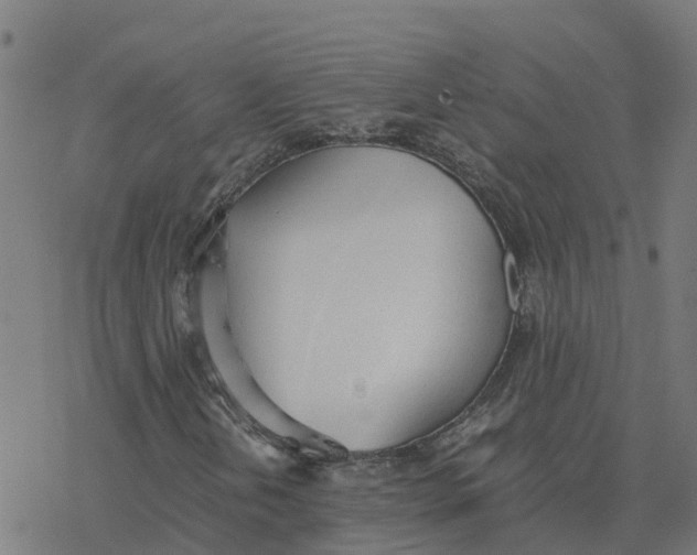 X0000077281202200611101309