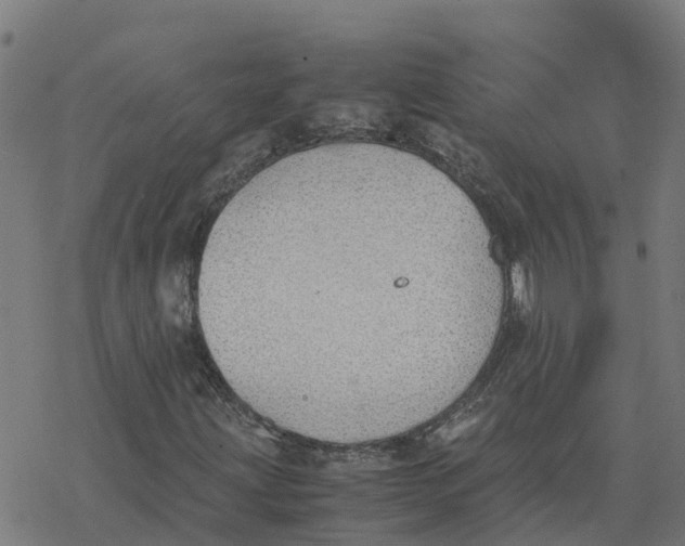 X0000077281203200611101309