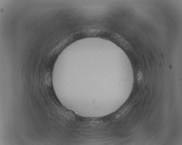 X0000077281204200611101309