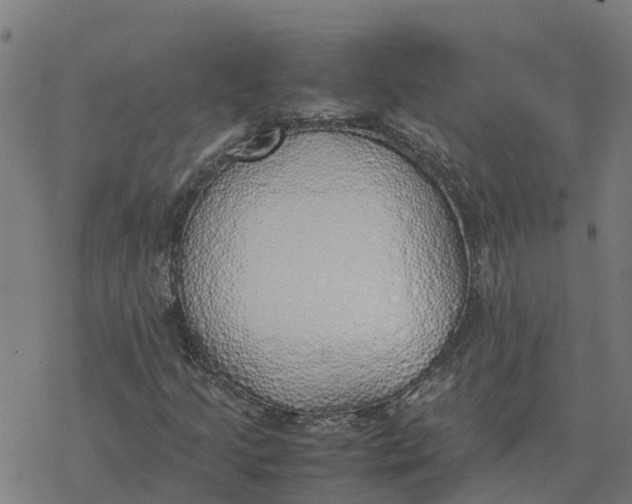 X0000077281205200611101309