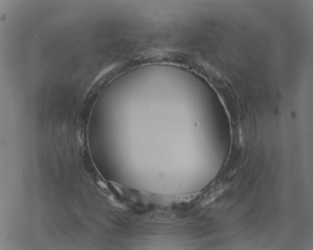 X0000077281206200611101309