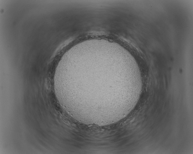 X0000077281207200611101309