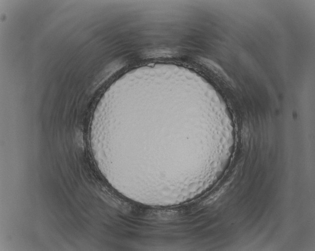 X0000077281209200611101309