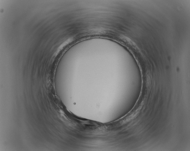 X0000077281210200611101309