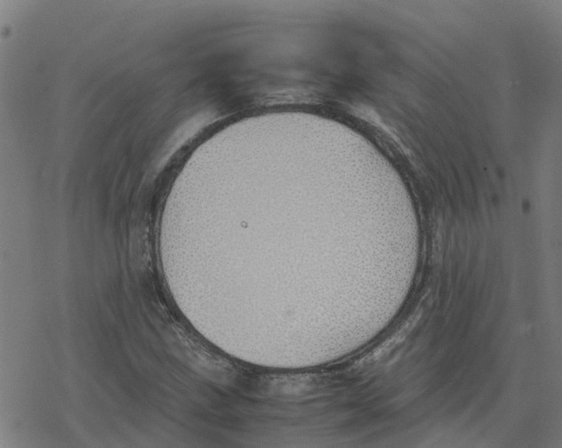 X0000077281211200611101309