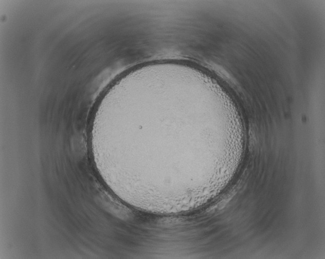 X0000077281212200611101309