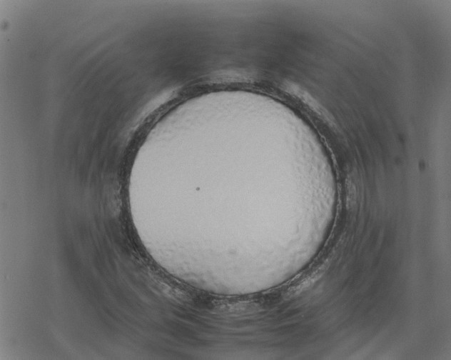 X0000077281213200611101309