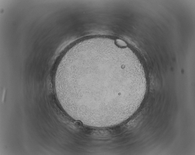 X0000077281215200611101309