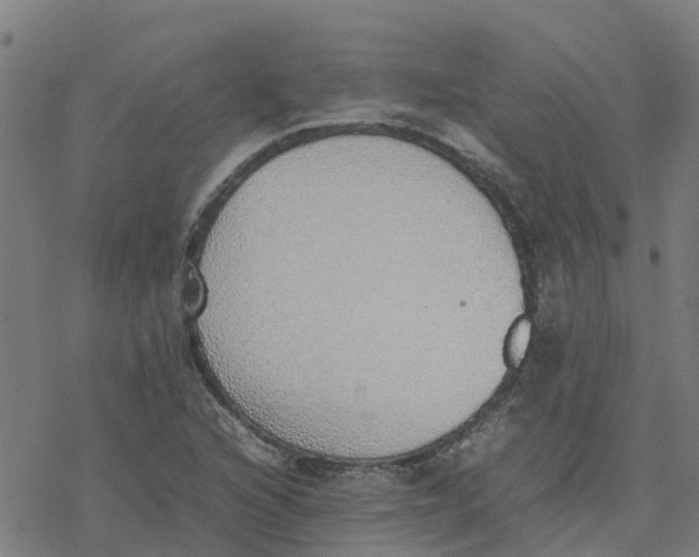 X0000077281216200611101309