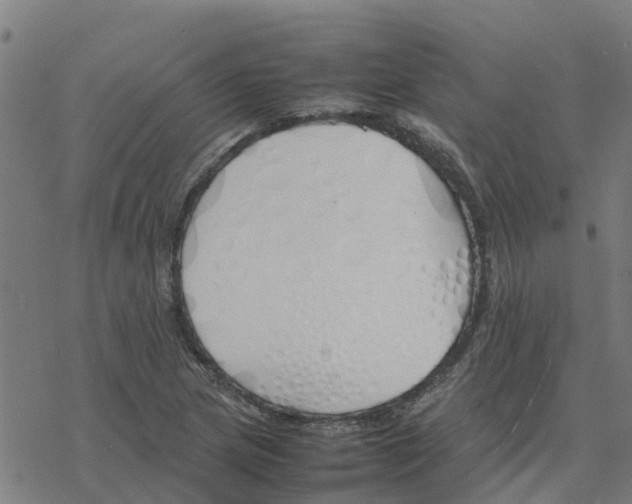 X0000077281217200611101309