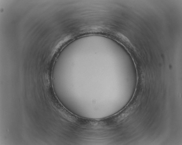 X0000077281218200611101309