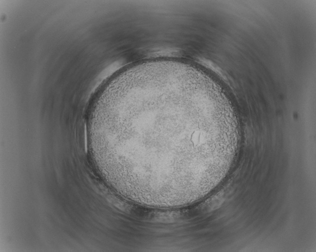 X0000077281219200611101309