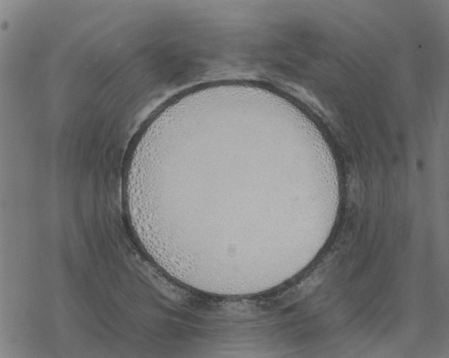 X0000077281220200611101309