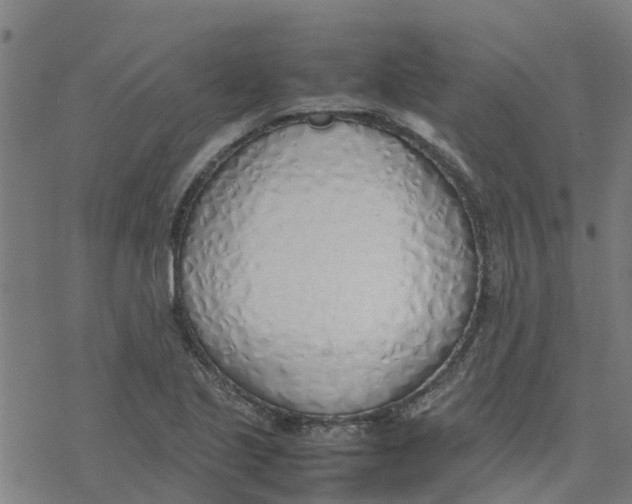 X0000077281221200611101309