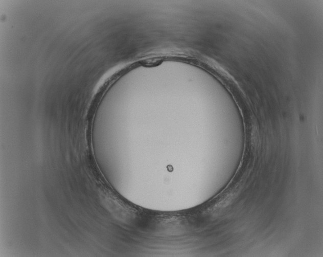 X0000077281222200611101309