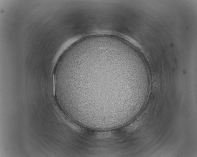 X0000077281223200611101309