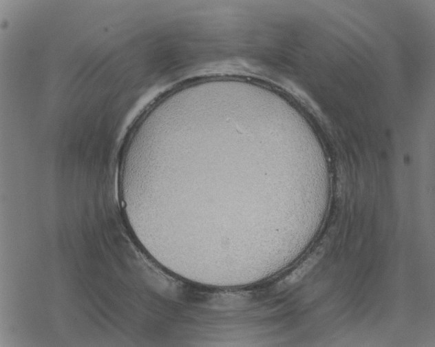 X0000077281224200611101309