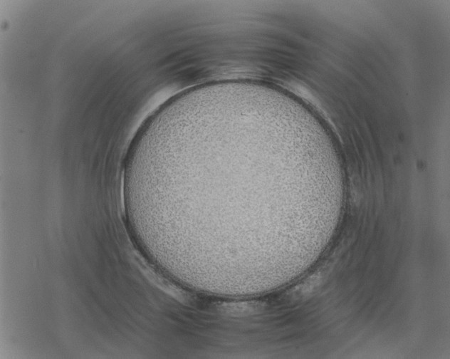 X0000077281227200611101309