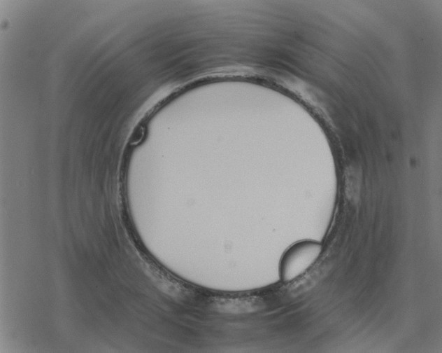 X0000077281229200611101309