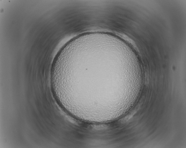 X0000077281231200611101309