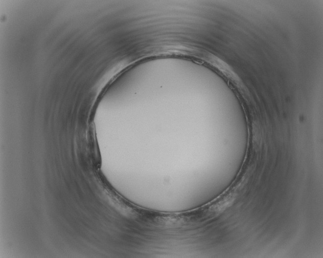 X0000077281234200611101310