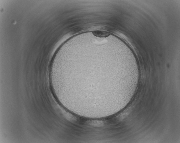 X0000077281235200611101310