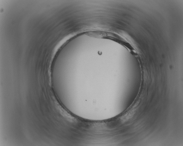 X0000077281238200611101310