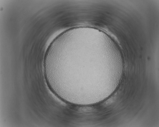 X0000077281239200611101310