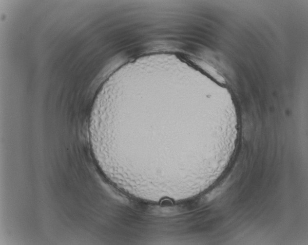 X0000077281241200611101310