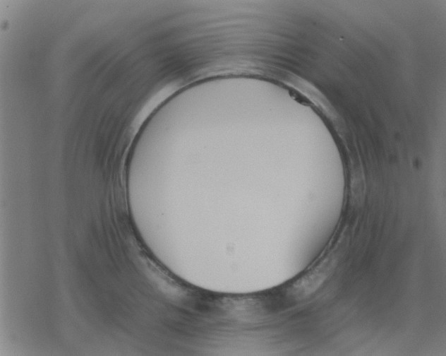 X0000077281242200611101310