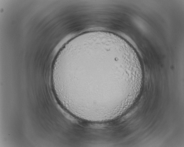 X0000077281245200611101310