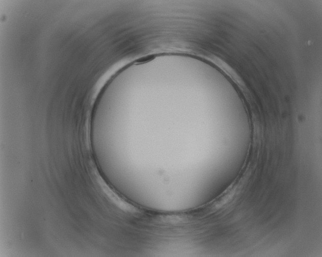 X0000077281246200611101310