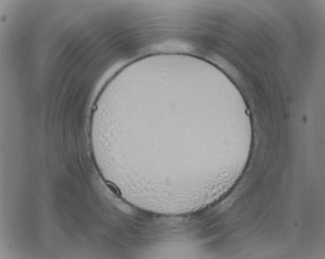 X0000077281248200611101310