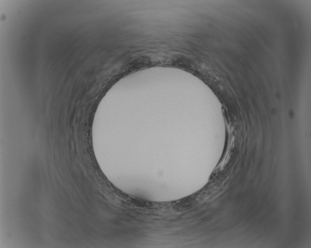 X0000077281249200611101309