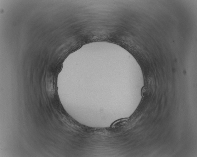 X0000077281250200611101309