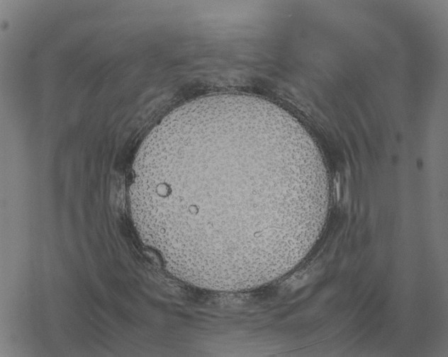 X0000077281251200611101309