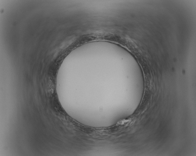 X0000077281253200611101309