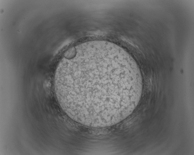 X0000077281254200611101309