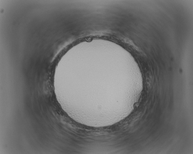 X0000077281256200611101309